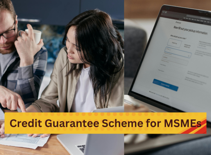 Credit Guarantee Scheme for MSMEs: Growth and Resilience Facilitator