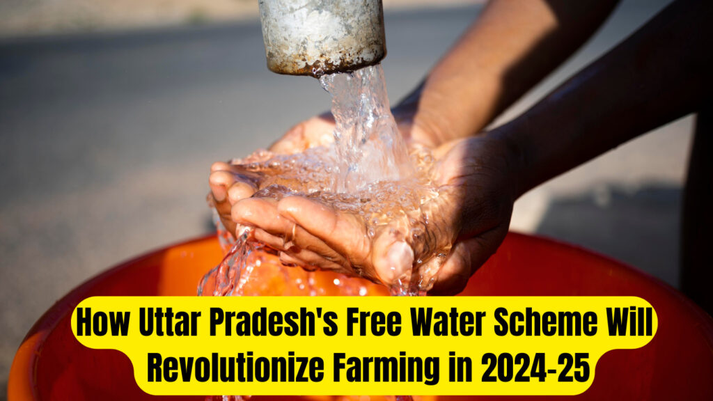 How Uttar Pradesh's Free Water Scheme Will Revolutionize Farming in 2024-25