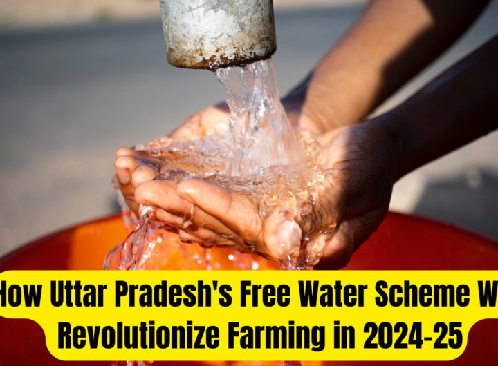 How Uttar Pradesh's Free Water Scheme Will Revolutionize Farming in 2024-25